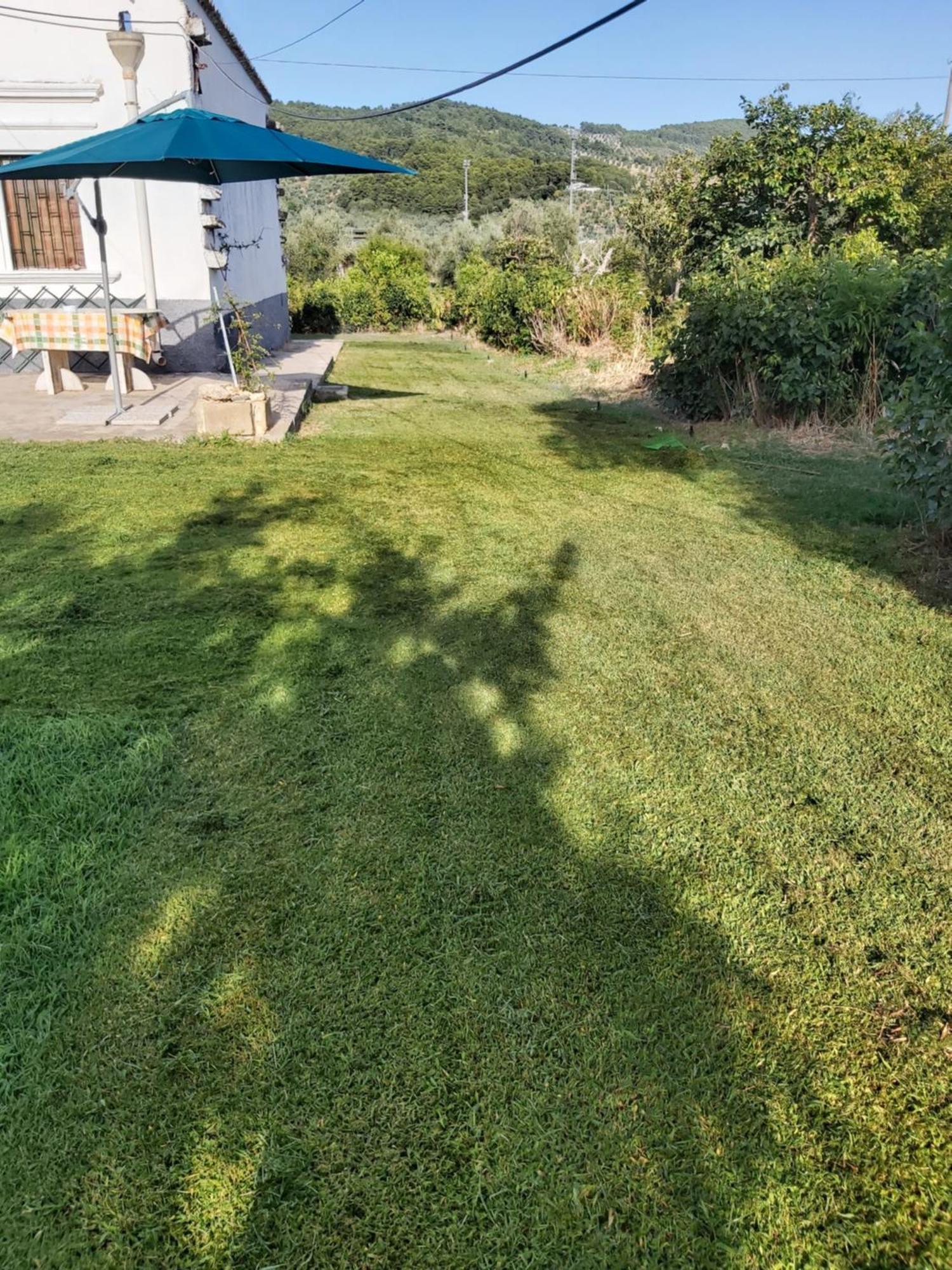 Casa Colonica Di Campagna Come Era Una Volta Peschici Bilik gambar